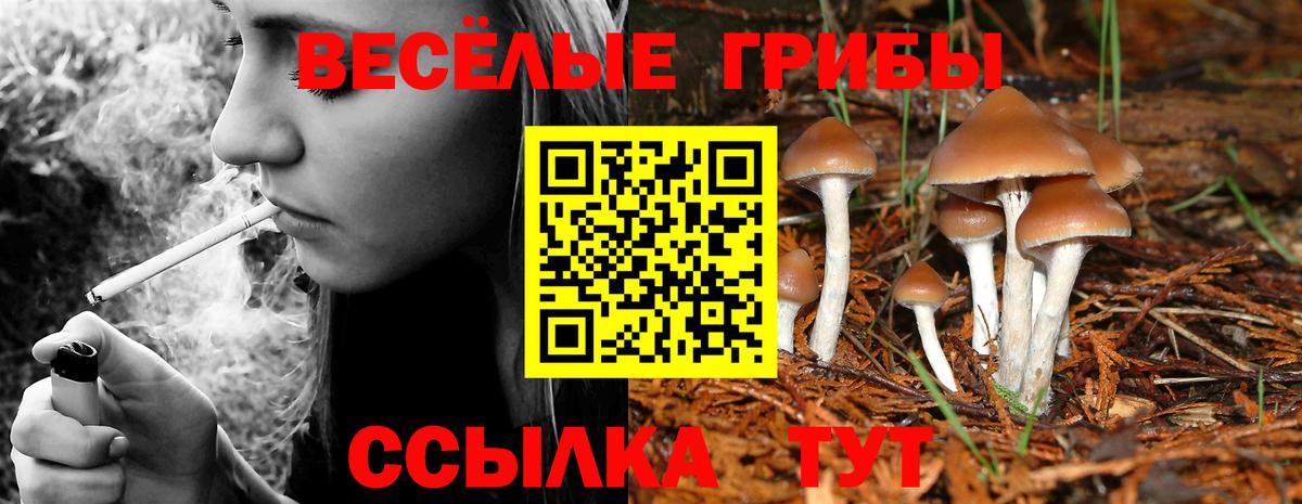 Псилоцибиновые грибы Cubensis  Галлюциногенные грибы MAGIC MUSHROOMS  как найти закладки  Изобильный  Вход с VPN 