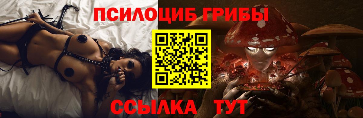 Псилоцибиновые грибы Psilocybe Изобильный