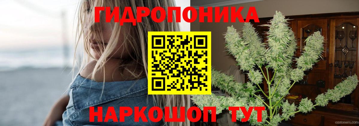 Бошки Шишки MAZAR  Бошки Шишки AK-47  МАРИХУАНА гибрид  Изобильный  Вход с VPN 